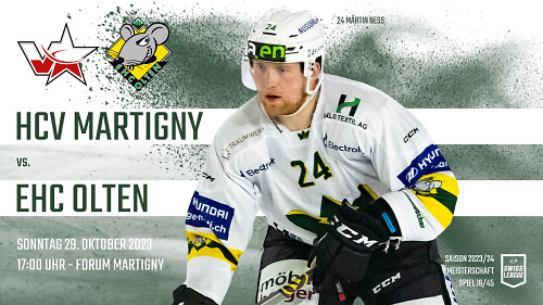 2324 MS 16 Martigny Olten Webseite