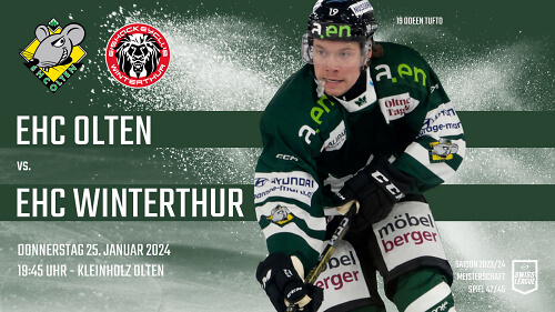 2324 MS 42 Olten Winterthur Webseite