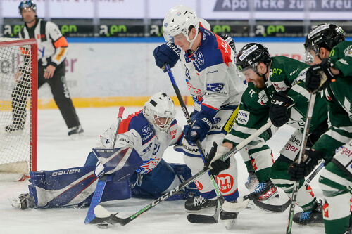 FRESHFOCUS 1347988 (1)