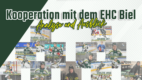 ehco ehcb analyse ausblick 250414