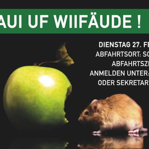 carfahrt po vf spiel 2 carfahrt po vf spiel 2