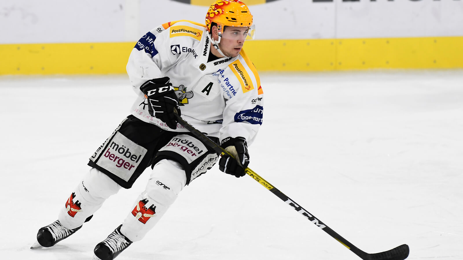 Dion Knelsen antwortet auf eure Fragen