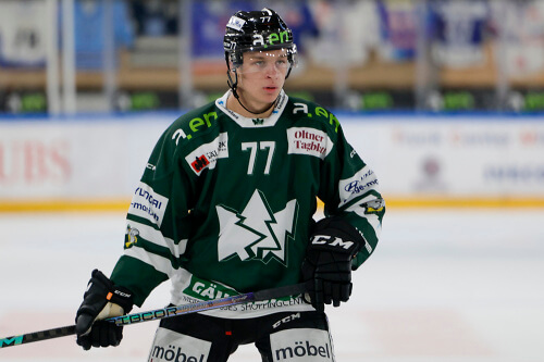 FRESHFOCUS 1310074 (1)