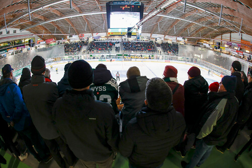 FRESHFOCUS 1256142 (1)