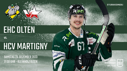 2324 MS 32 Olten Martigny Webseite